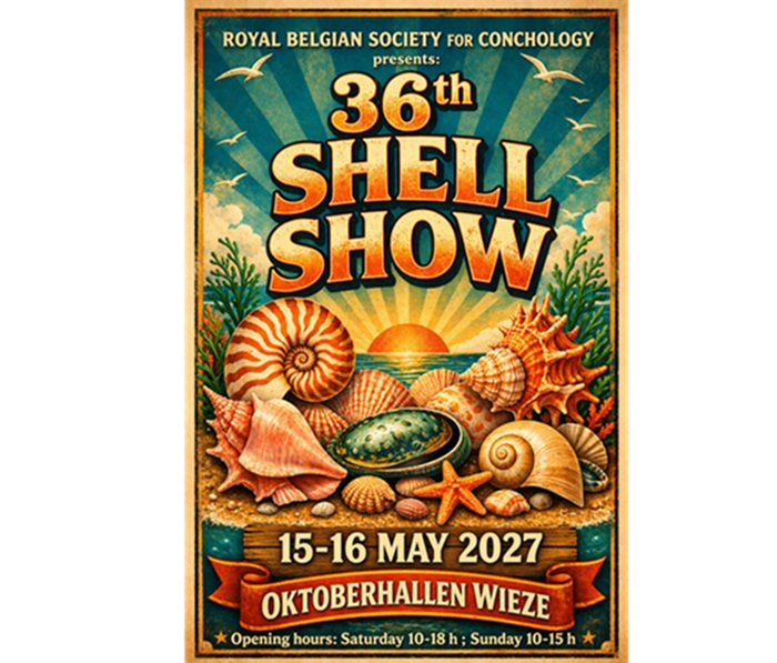 Schelpenbeurs (hal B)